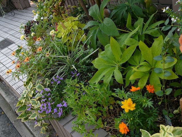 a0123003_1726737.jpg