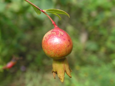 c0156104_2352541.jpg