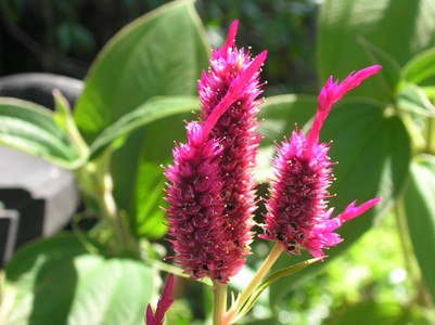 c0156104_23531479.jpg