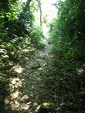 e0183004_1217266.jpg
