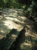 e0183004_122587.jpg