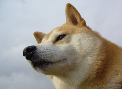 e0131506_1354044.jpg