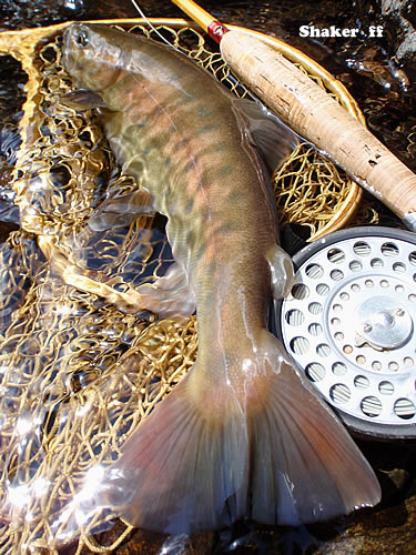 f0021008_16493997.jpg