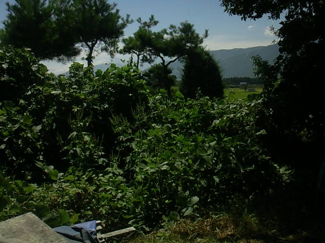 f0024708_1750373.jpg