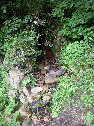 e0168109_0455783.jpg