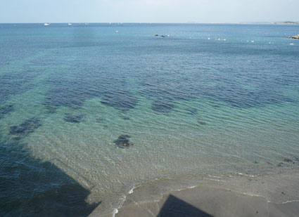 f0201310_203873.jpg