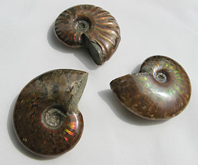e0139012_14493045.jpg