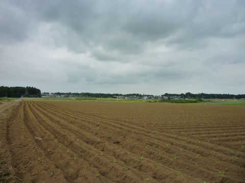 現場報告!!_a0059217_21212498.jpg