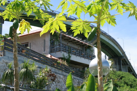 f0097620_8302431.jpg