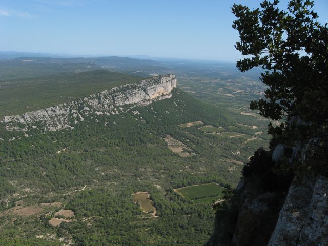 c0188527_1473887.jpg