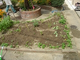 f0167635_84537.jpg