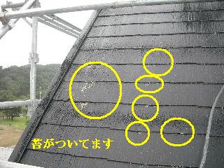 屋根塗装・初日_f0031037_21313662.jpg
