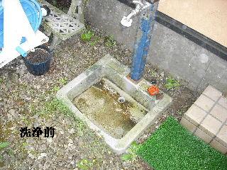 屋根塗装・初日_f0031037_2139312.jpg