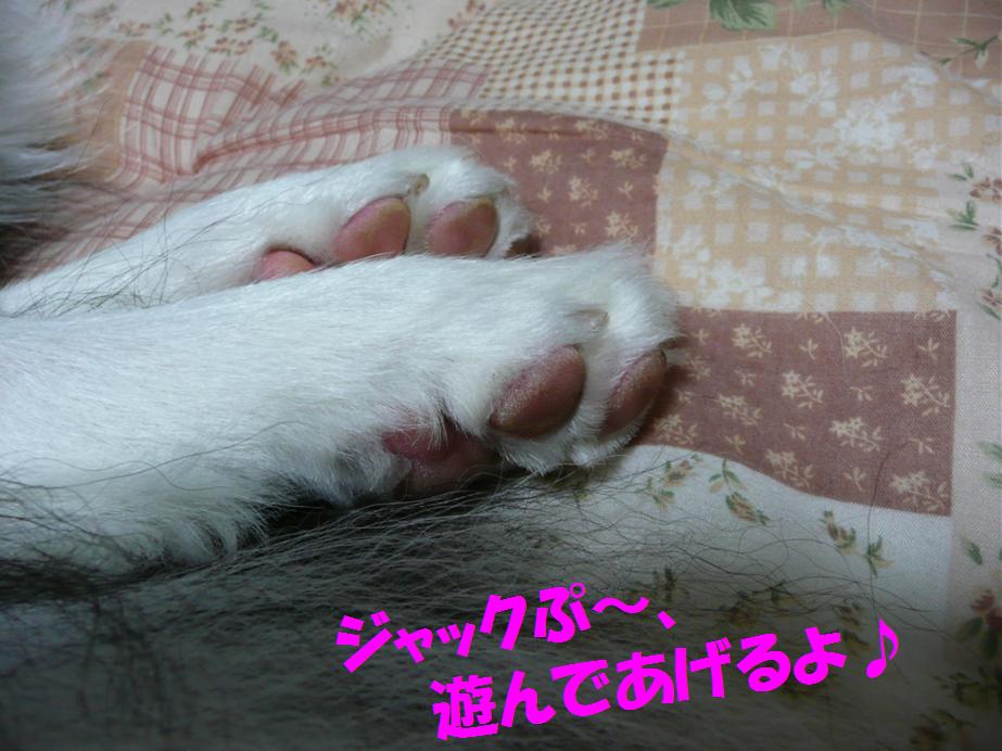 c0147241_2337738.jpg