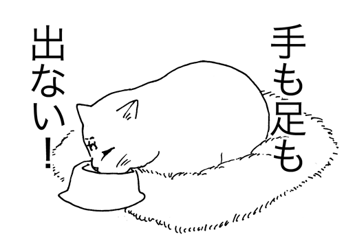 9月8日(火)【阪神−中日】(甲子園)●0ー7_f0105741_9584056.gif
