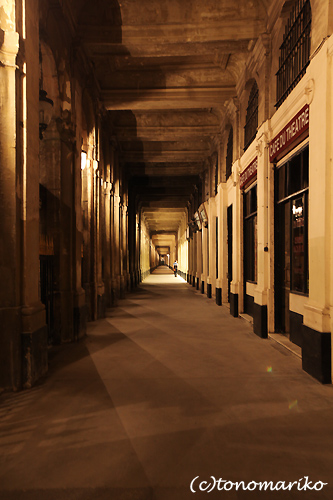 c0024345_6454772.jpg