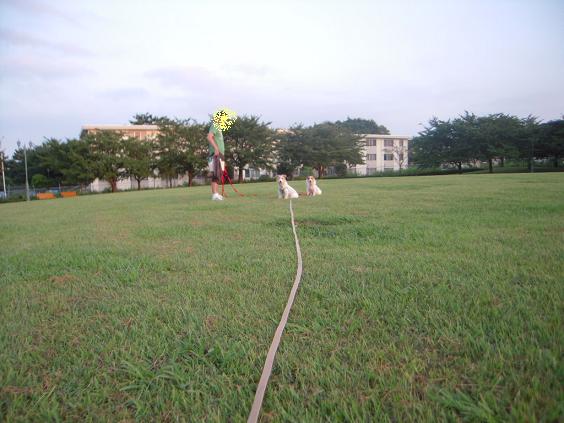 c0156345_14584556.jpg
