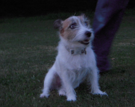 c0156345_1517411.jpg