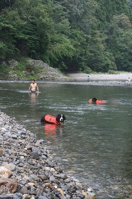 a0109450_07066.jpg
