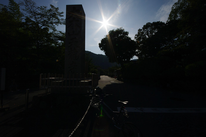 f0152550_22363743.jpg