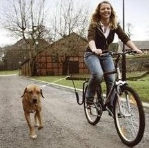 犬の自転車運動補助器具「SPRINGER（スプリンガー）」_b0004752_10554922.jpg