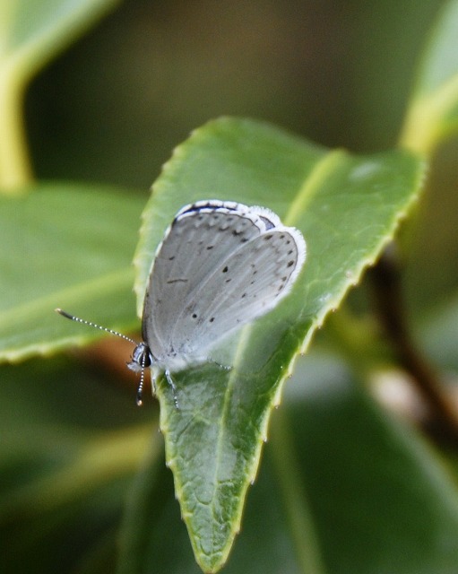 b0181457_9292418.jpg