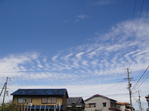 c0108460_1426090.jpg