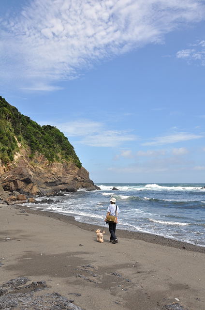 ソレイユ　初めての海（大王崎）_b0131661_13333162.jpg