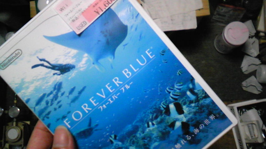 FOREVER BLUE（フォーエバー ブルー）_a0021565_15333643.jpg