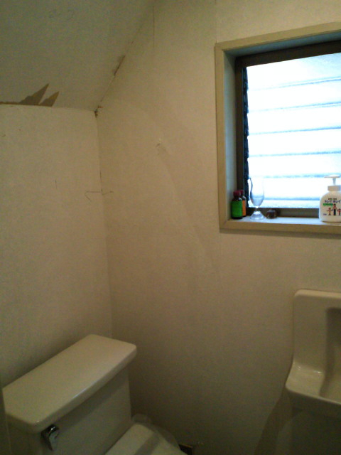『Fruit』でトイレの壁紙を貼り替えました！_c0157866_223063.jpg
