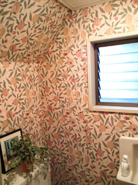 『Fruit』でトイレの壁紙を貼り替えました！_c0157866_229614.jpg