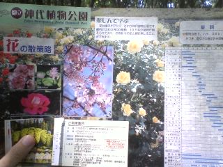 神代植物公園_d0062076_15513524.jpg