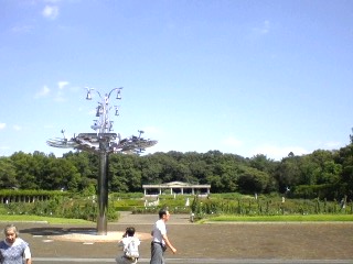 神代植物公園_d0062076_155343100.jpg