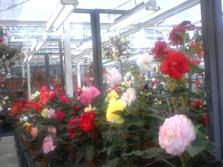 神代植物公園_d0062076_15571433.jpg