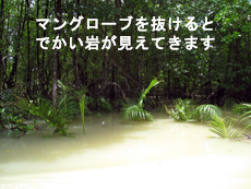 パンガー湾のカヌー行ってきました!_f0144385_13305928.jpg