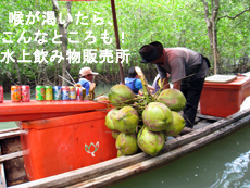 パンガー湾のカヌー行ってきました!_f0144385_1341961.jpg