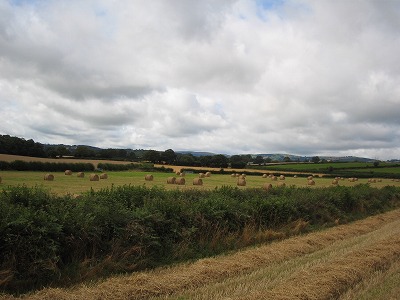e0181286_824189.jpg