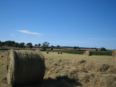 e0181286_8273268.jpg