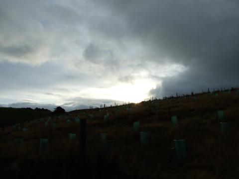 f0023791_17221818.jpg