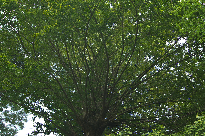b0178292_01059.jpg