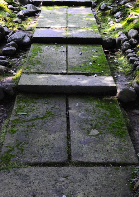 b0158403_9443575.jpg