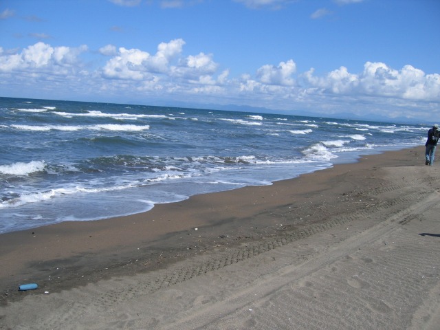 c0144703_7445449.jpg