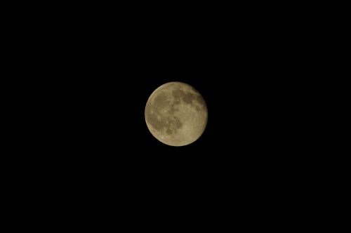 b0182104_0274999.jpg