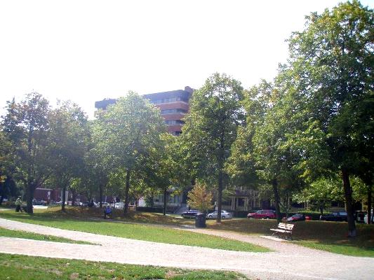 c0195804_8385164.jpg