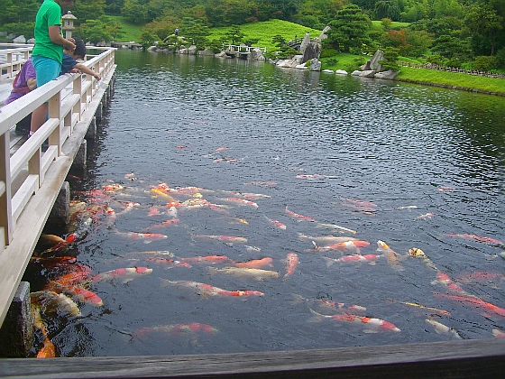 c0110906_1625208.jpg
