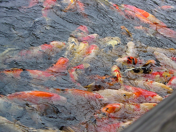 c0110906_16254977.jpg