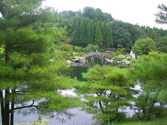 c0110906_16295563.jpg