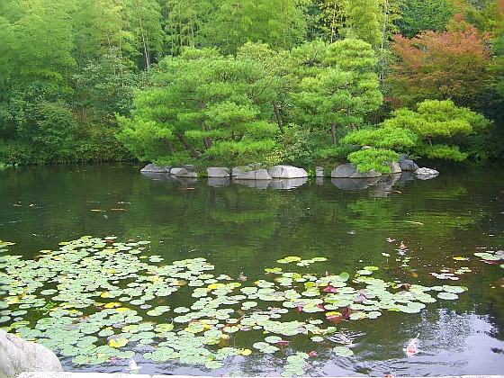 c0110906_16301815.jpg