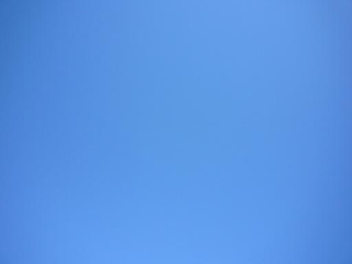 e0130008_22332851.jpg
