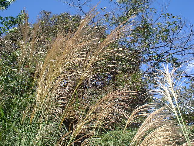 f0173908_13103872.jpg